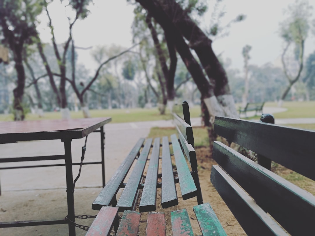 Rediscovering the Great Outdoors: A Journey Beyond the Trail Rediscovering the Great Outdoors: A Journey Beyond the Trail